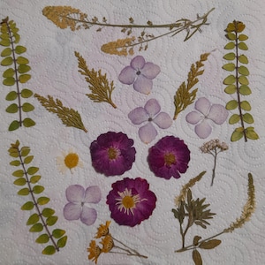 Getrocknetes gepresstes Blumenset, gepresste Blumenkunst, Rahmenkunst, Lesezeichenherstellung, Grußkartenherstellung, getrocknete echte Pflanzen, Blumen und Blätter