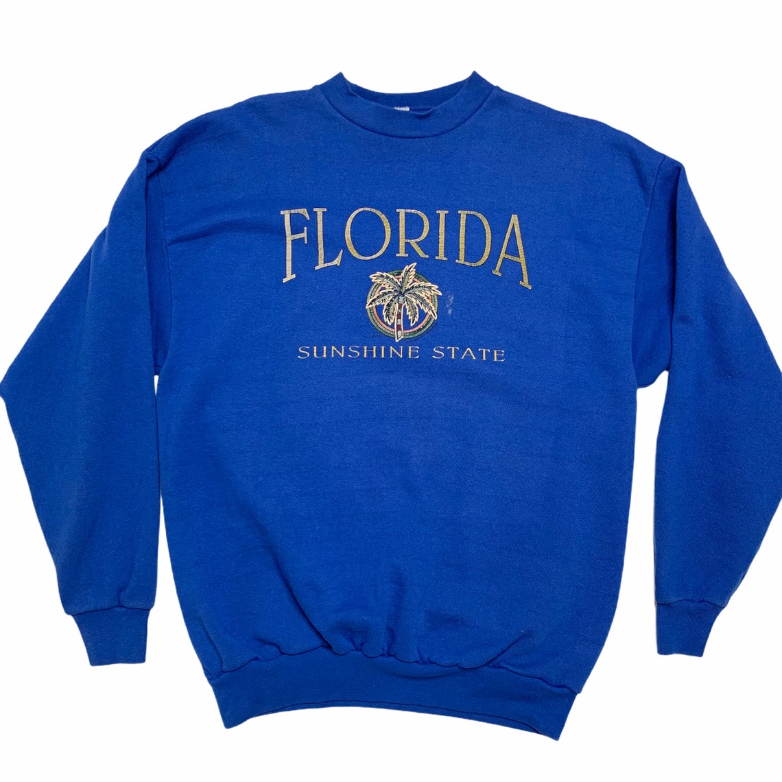 Vintage Florida Sweatshirt Florida the Sunshine State Tultex - Etsy UK