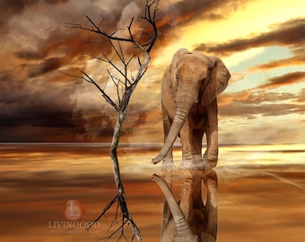 Livingood Photography Elephant