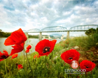 Chattanooga Landscape Photography - Walnut Street Bridge & Market Street Bridge in Chattanooga Tennessee.