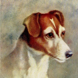 Chien lot de 5 Vintage cartes postales : Prince Fox Terrier, chien de bande dessinée & chatons, BD pasteur, Canadian American mixte russe, pékinois