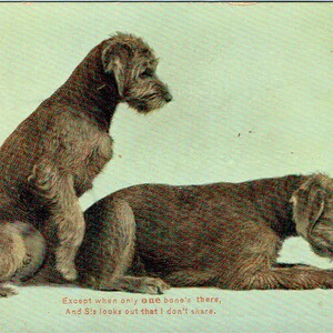 Lot de quatre scènes Vintage cartes postales Airedale chiots, F. von Bardeleben et un Vintage de carte postale, Raphael Tuck, Yorkshire Terrier, Watson