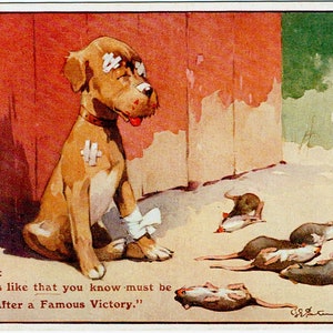 Sacco di cinque cartoline di cane d'epoca: Rat Killer, cane a pelo corto pistola, puntatore, To My Pet Card, Spaniel russo stranieri carte 1910s