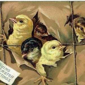 Vintage anni 1910 di Pasqua cartoline utilizzati e non utilizzati come descritto - un Tuck