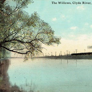 May include: Vintage postcard featuring a serene landscape of the Clyde River in Clyde, N.Y. The image shows a train traveling along the water's edge, with trees and their reflection in the water. The text "The Willows, Clyde River, Clyde, N. Y." is visible.