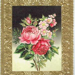 Viktorianischen antiken Vintage Verschiedenes vergoldet geprägt Blume Vogel Säugetier Meer Karten