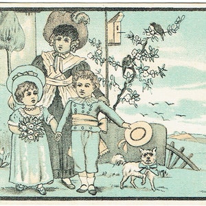 Menge von 5 Handel Karten von 1800: Rochester, NY, New London, CT, Baltimore, MD, New York, Syracuse, ny, Bobtail, Pekinese,