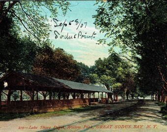 1907 Vintage Postcard, Lake Shore Railway Depot, Sodus Point NY