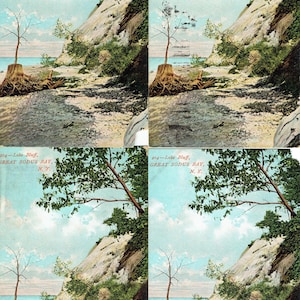 May include: A vintage postcard depicting a coastal landscape with a rocky cliff, beach, and sea. A tree stump and a small tree are in the foreground. The text "204 - Lake Bluff, Great Sodus Bay, N.Y." is printed at the top.
