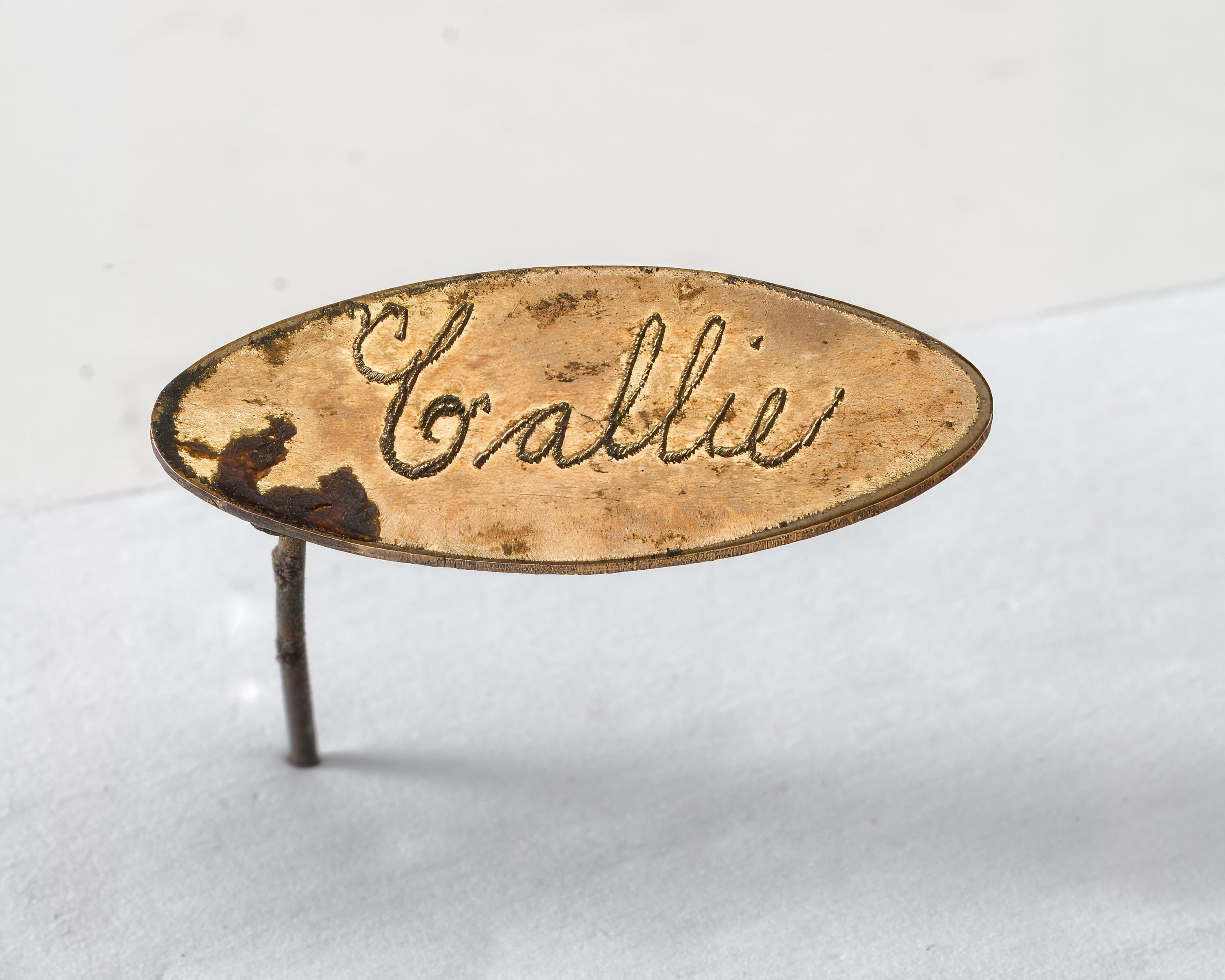 Jolie Broche En Laiton Fin XIXe – Vintage, Bracelet (?) Ou Accessoire Ancien