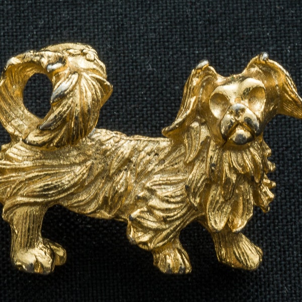 Broche chien : Pékinois, bichon havanais, épagneul japonais, Lhassa Apso, Shiz Tsu, Terrier tibétain ?