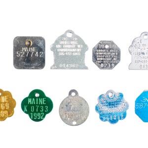 Vintage Pet Tags, License, ID and Vaccination (Nine)