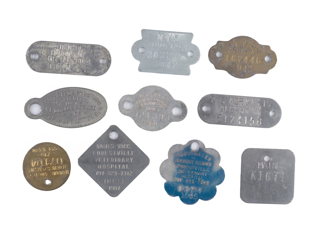 Cleated Tags Pet Dog Tags, Vintage Lot of Nine and Key Tag - Etsy