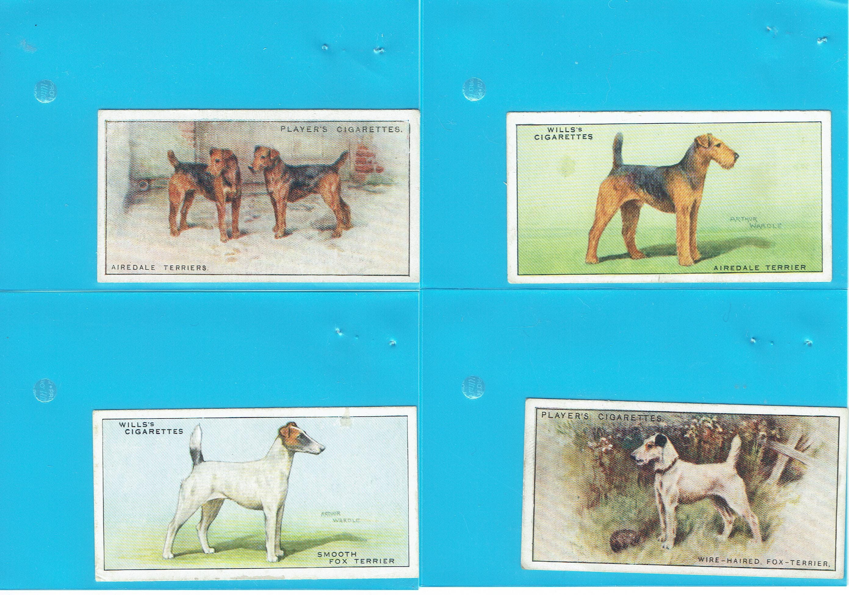 dog cigarette cards Vintage Dog Cigarette Cards: Airedale & Fox Terrier Lot