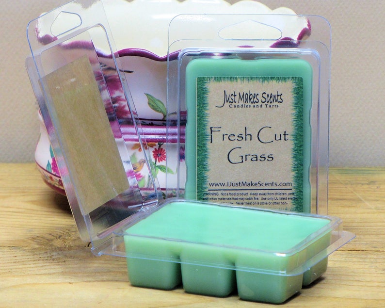 Pet Odor Eliminator Wax Melts 2 Pack with FREE SHIPPING Free Shipping Scented Soy Wax Cubes Compare to Scentsy\u00ae Bars