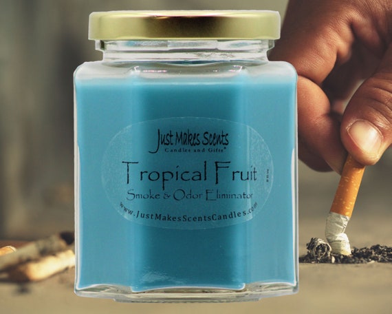 homemade cigarette smoke odor eliminator Tropical Fruit Scented Odor Eliminator Blended Soy Candle - Scented Soy  Candles - Homemade Candles
