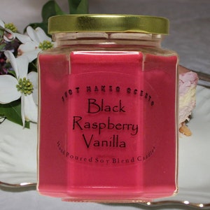 Black Raspberry Vanilla - Homemade Blended Soy Candle
