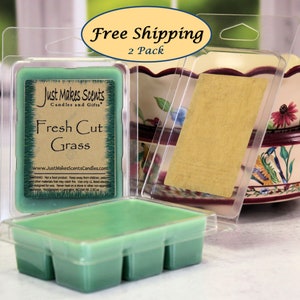 Fresh Cut Grass Scented Wax Melts - 2 Pack with FREE SHIPPING - Scented Soy Wax Cubes - Scentsy® Type Tarts - Wickless Candles - Man Scents