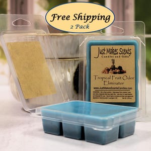 Tropical Fruit Scented Smoke and Odor Eliminator Wax Melts - 2 Pack With Free Shipping - Scented Wax Cubes - Compare to Scentsy® Bars