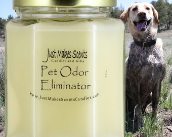 Bougies anti-odeurs pour animaux de compagnie - Bougies de soja mélangées