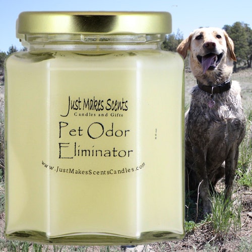 dog odor candles