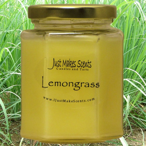Lemongrass mosquito Repelling Scented Soy Candles Blended Etsy