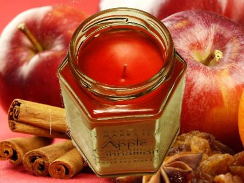 Cinnamon Apple Candle Apple Cinnamon Scented Candle Scented Blended Soy Candle