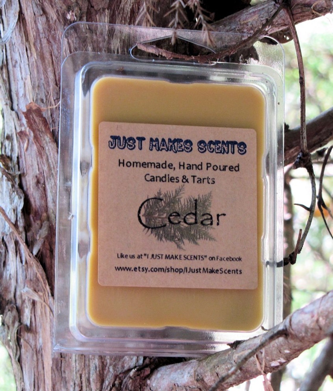 eucalyptus wax cubes