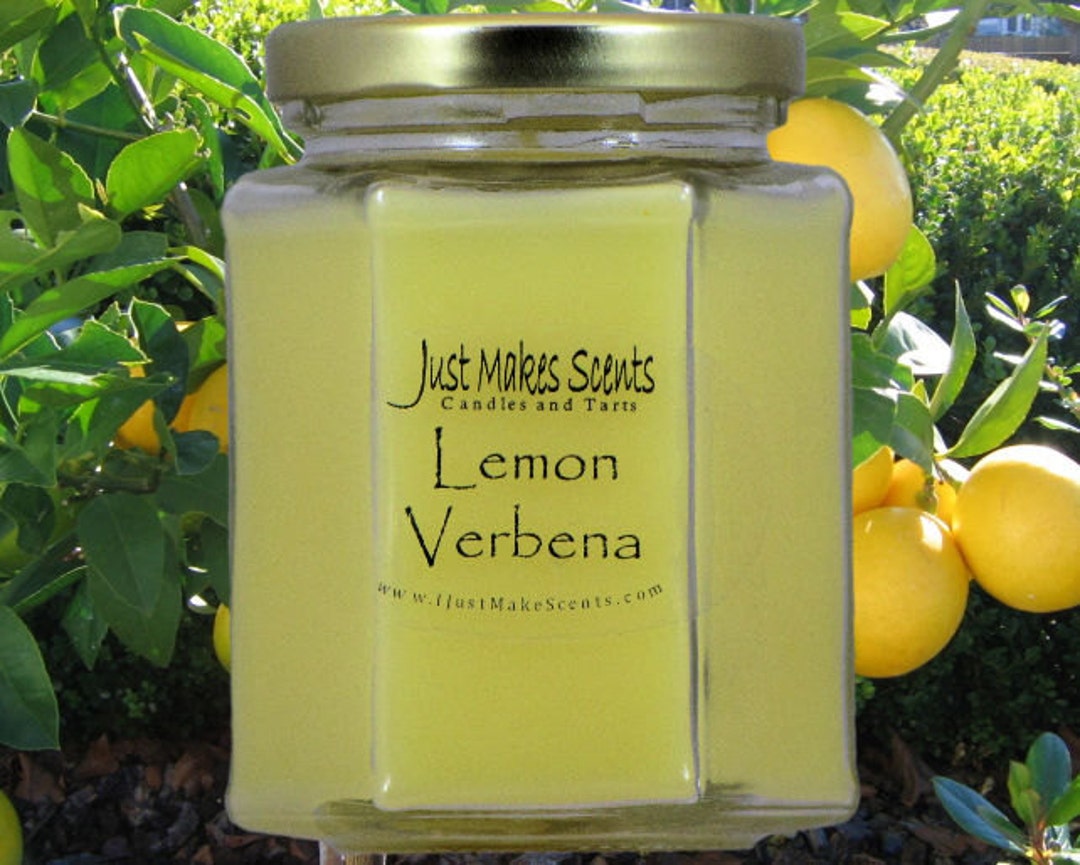 Lemon Verbena Candle Homemade Blended Soy Lemon Verbena Etsy