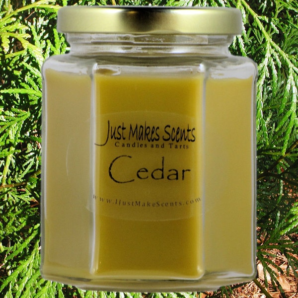 Cedar Scented Blended Soy Candles - Woodsy Masculine Scent - Clean Fresh Candle Fragrance