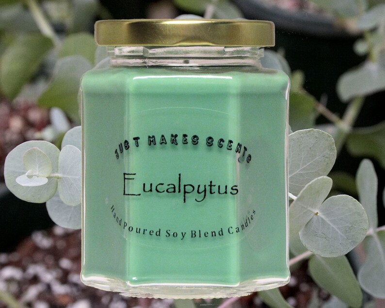 Eucalyptus Mint Candle Blended Soy Candle With Free Shipping Etsy