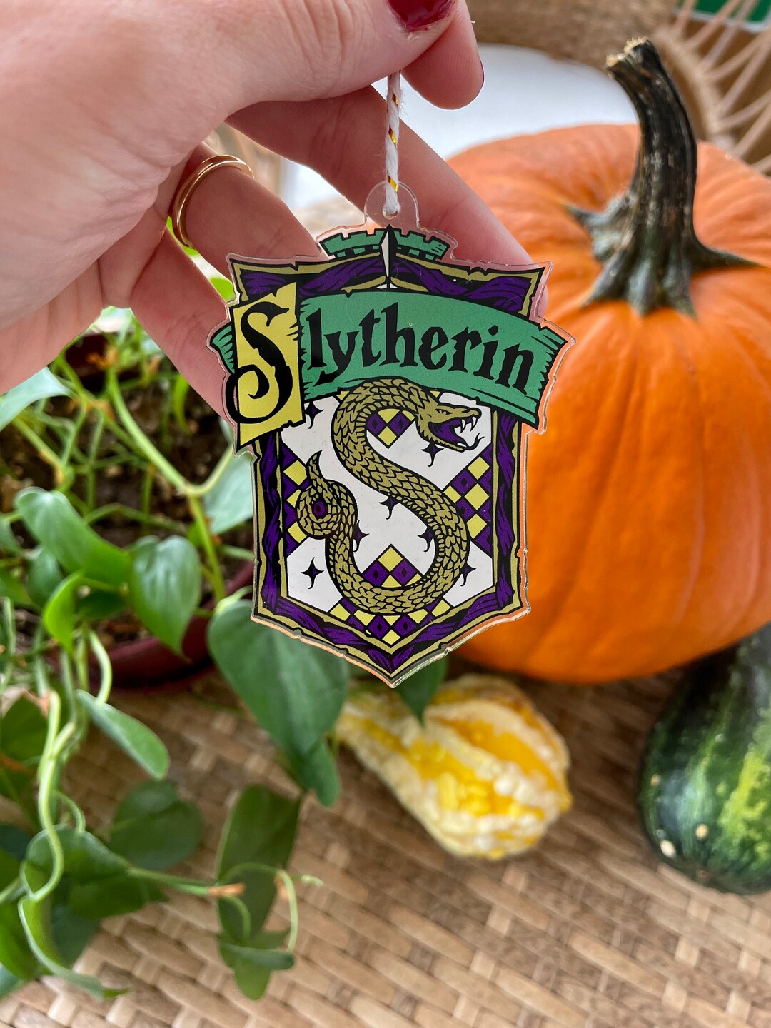 Slytherin House Crest Ornament Sticker Gift Set Etsy