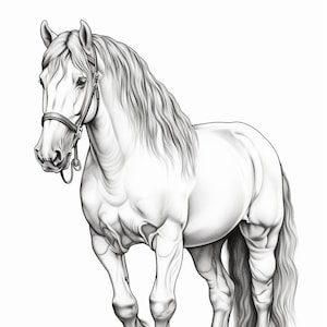 Majestic Equines: Digital Coloring Book Pages, horse images, digital download, digital images, images of beautiful horses, digital coloring.