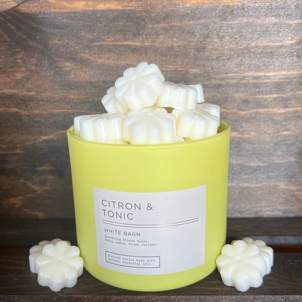 Citron and Tonic Wax Melts ~ Bath and Body Works Candle Wax Melts