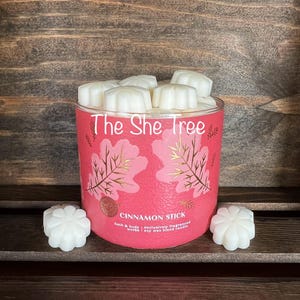 Bath and Body Works Cinnamon Stick Wax Melts
