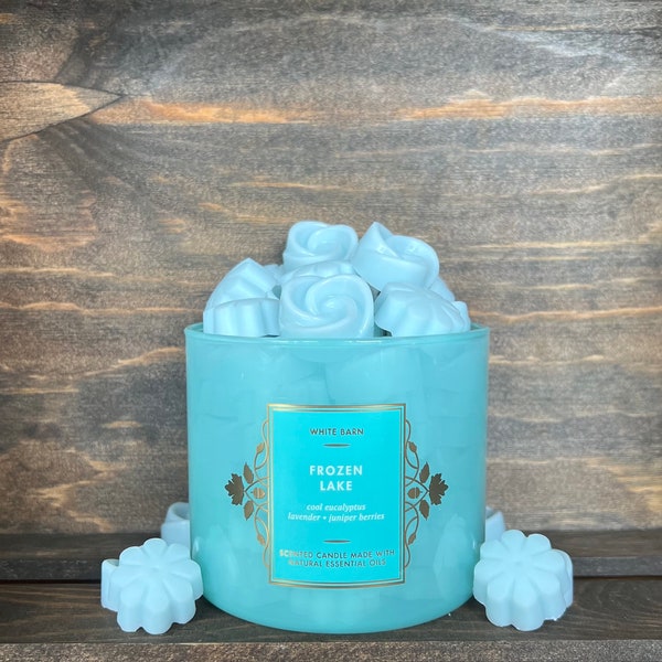 Frozen Lake Wax Melts ~ Bath and Body Works Candle Wax Melts