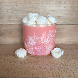 Bath and Body Works Pink Kiwi Berry Wax Melts