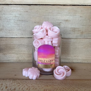 Bath and Body Works Self Care Sunday Wax Melts