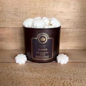 Bath and Body Works Leaves Wax Melts