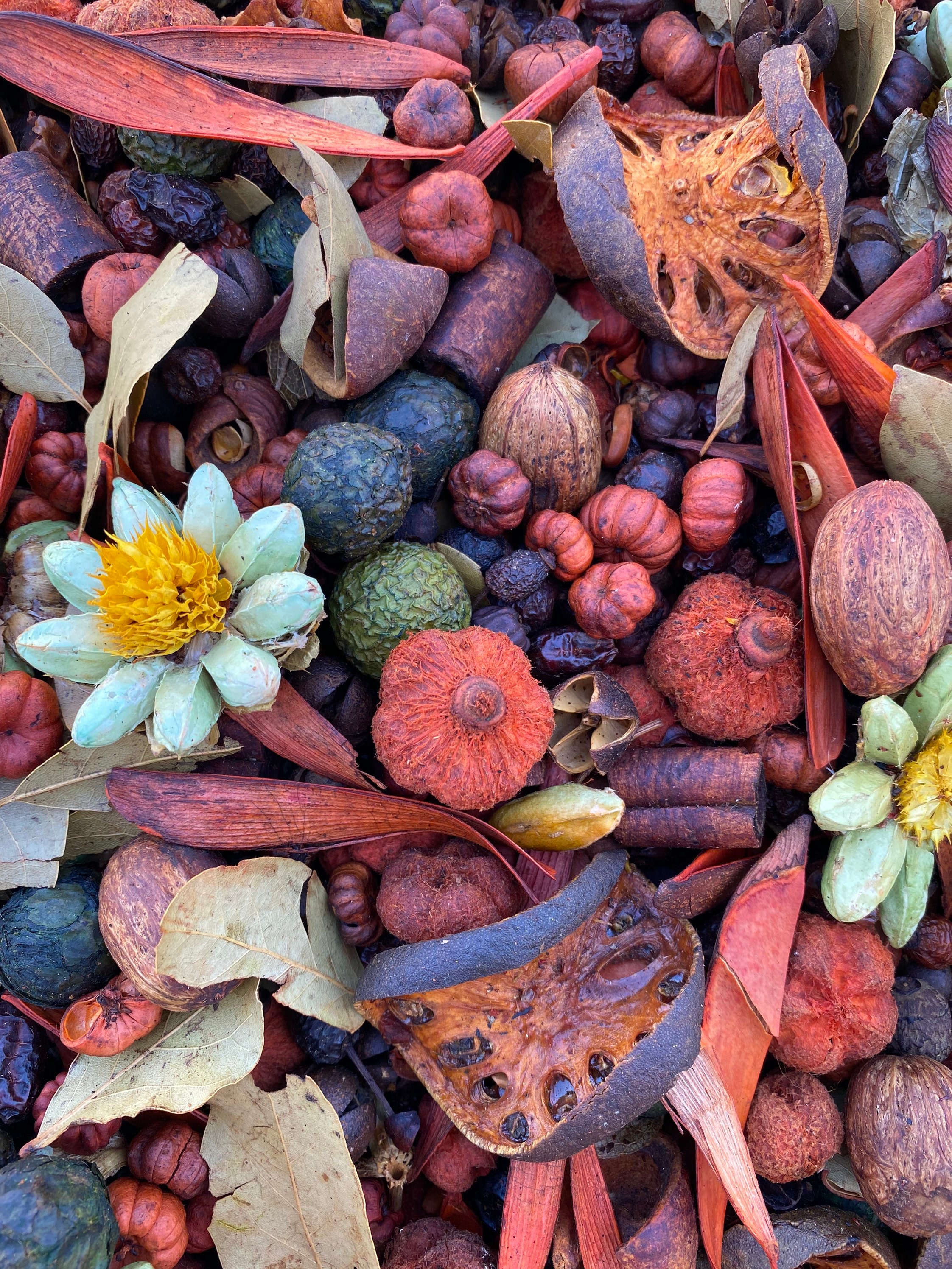 Potpourri Fresh Scented Potpourri Botanical Potpourri Etsy