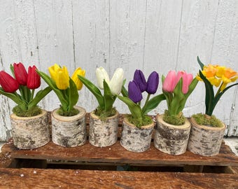 Tulip & Daffodil Inserts