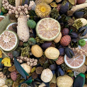 Potpourri