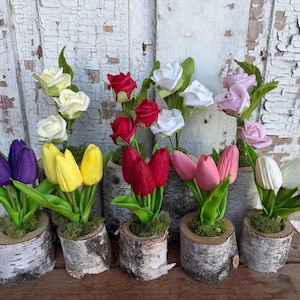 Tulip & Rose Inserts