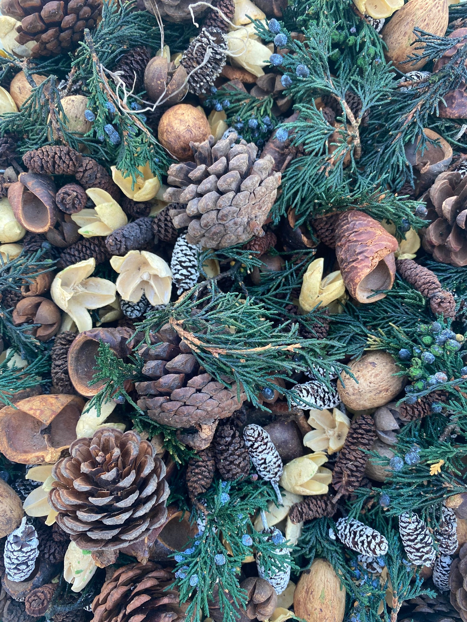 Potpourri Fresh Scented Potpourri Botanical Potpourri Etsy