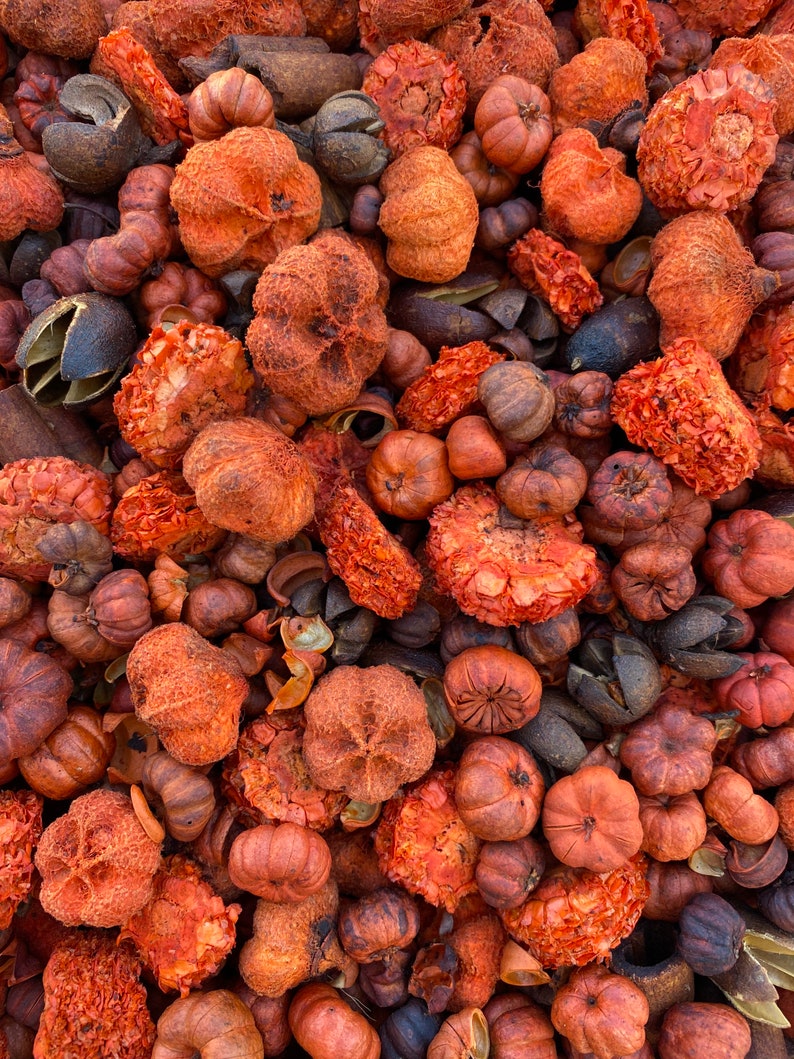 Potpourri Fresh Scented Potpourri Botanical Potpourri Etsy