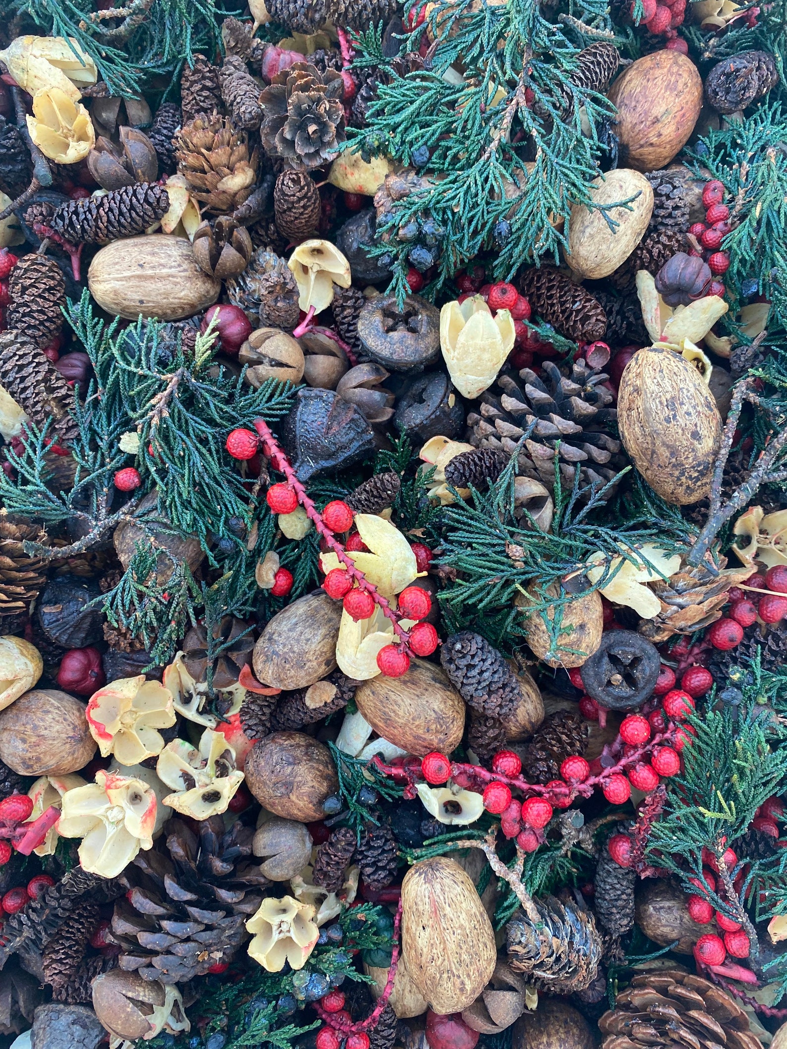 Potpourri Fresh Scented Potpourri Botanical Potpourri Etsy