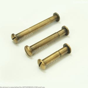 May include: Three brass screws with a slotted head and a rounded tip. The screws are different lengths.