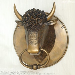 May include: A bronze bull's head door knocker with a ring handle. The bull's head is detailed with textured fur and horns. The knocker is mounted on a round, bronze plate.