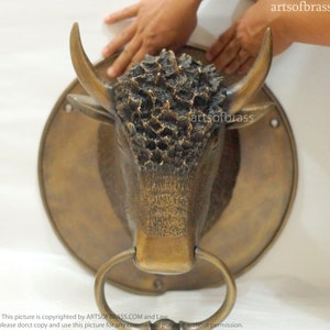 May include: A brass door knocker shaped like a bull's head with a ring handle. The bull's head is detailed with textured fur and a realistic expression.