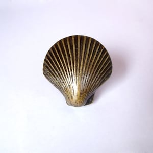 May include: A brass seashell-shaped cabinet knob with a detailed, ribbed texture.